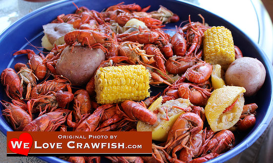 A platter of perfectly boiled Louisiana crawfish, along with potatoes and corn on the cob!