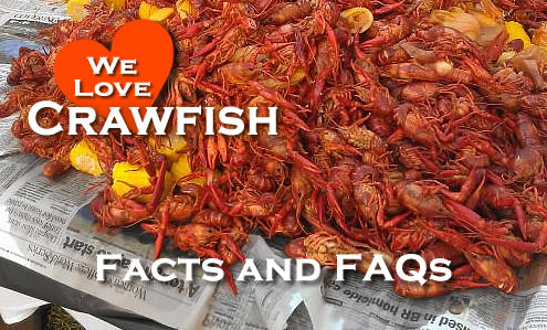 Crawfish Facts and Frequently Asked Questions