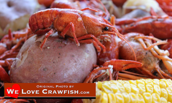 Always insist on crawfish harvested in the USA ... be alert for foreign imports