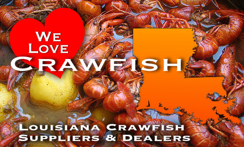 Louisiana Crawfish Suppliers and Dealers